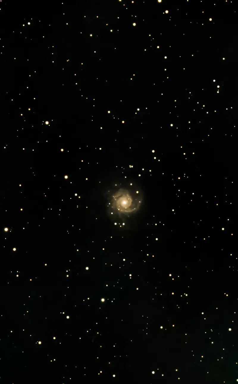La galaxia espiral M 74 vista de frente, pequeña entre estrellas