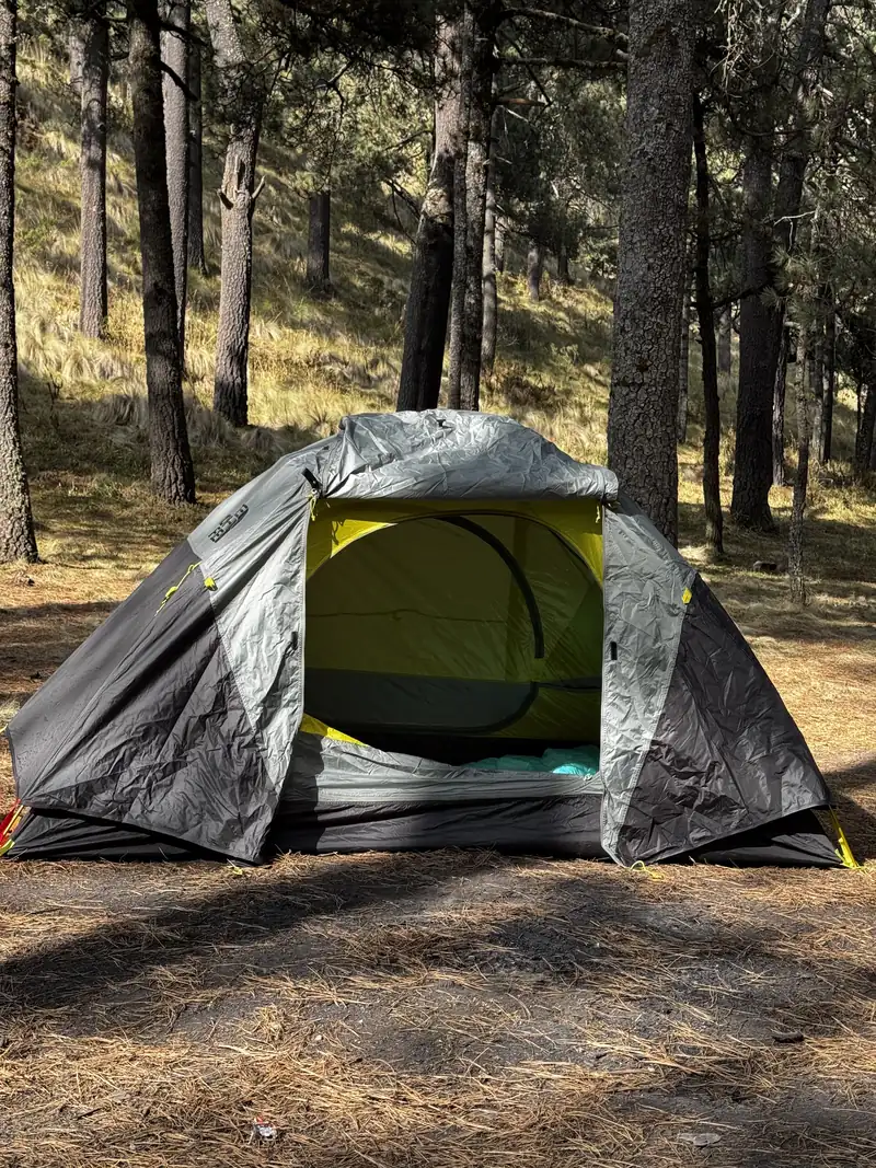 Una tienda de campaña abierta en un bosque de pinos secos